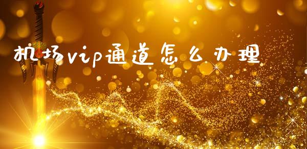 机场vip通道怎么办理_https://wap.apzhendong.com_投资理财_第1张