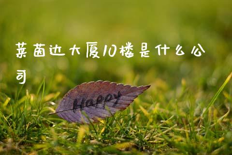 莱茵达大厦10楼是什么公司_https://wap.apzhendong.com_期货直播_第1张