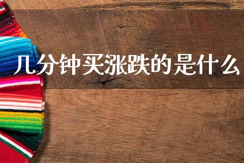 几分钟买涨跌的是什么_https://wap.apzhendong.com_今日财经_第1张