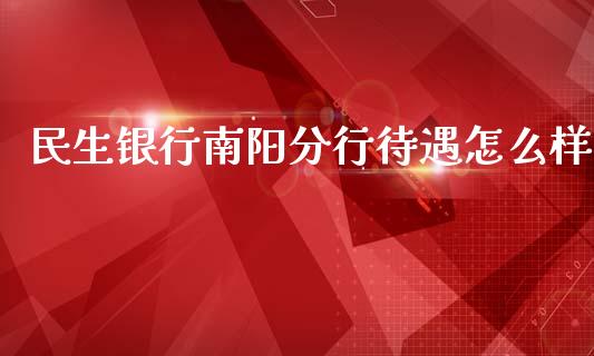 民生银行南阳分行待遇怎么样_https://wap.apzhendong.com_今日财经_第1张