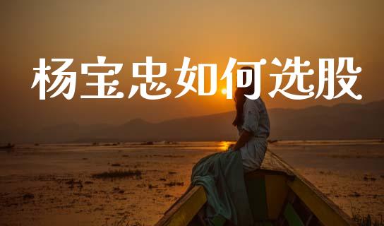 杨宝忠如何选股_https://wap.apzhendong.com_今日财经_第1张