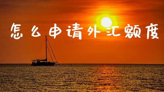 怎么申请外汇额度_https://wap.apzhendong.com_今日财经_第1张