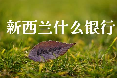 新西兰什么银行_https://wap.apzhendong.com_投资理财_第1张