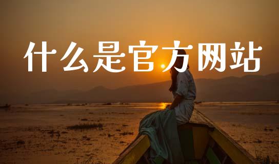 什么是官方网站_https://wap.apzhendong.com_今日财经_第1张