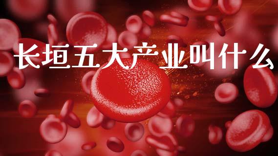 长垣五大产业叫什么_https://wap.apzhendong.com_美股行情_第1张