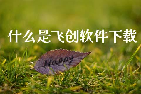 什么是飞创软件下载_https://wap.apzhendong.com_投资理财_第1张